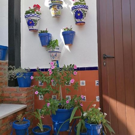 Casa Rural Patio Rociero 엘로시오 외부 사진