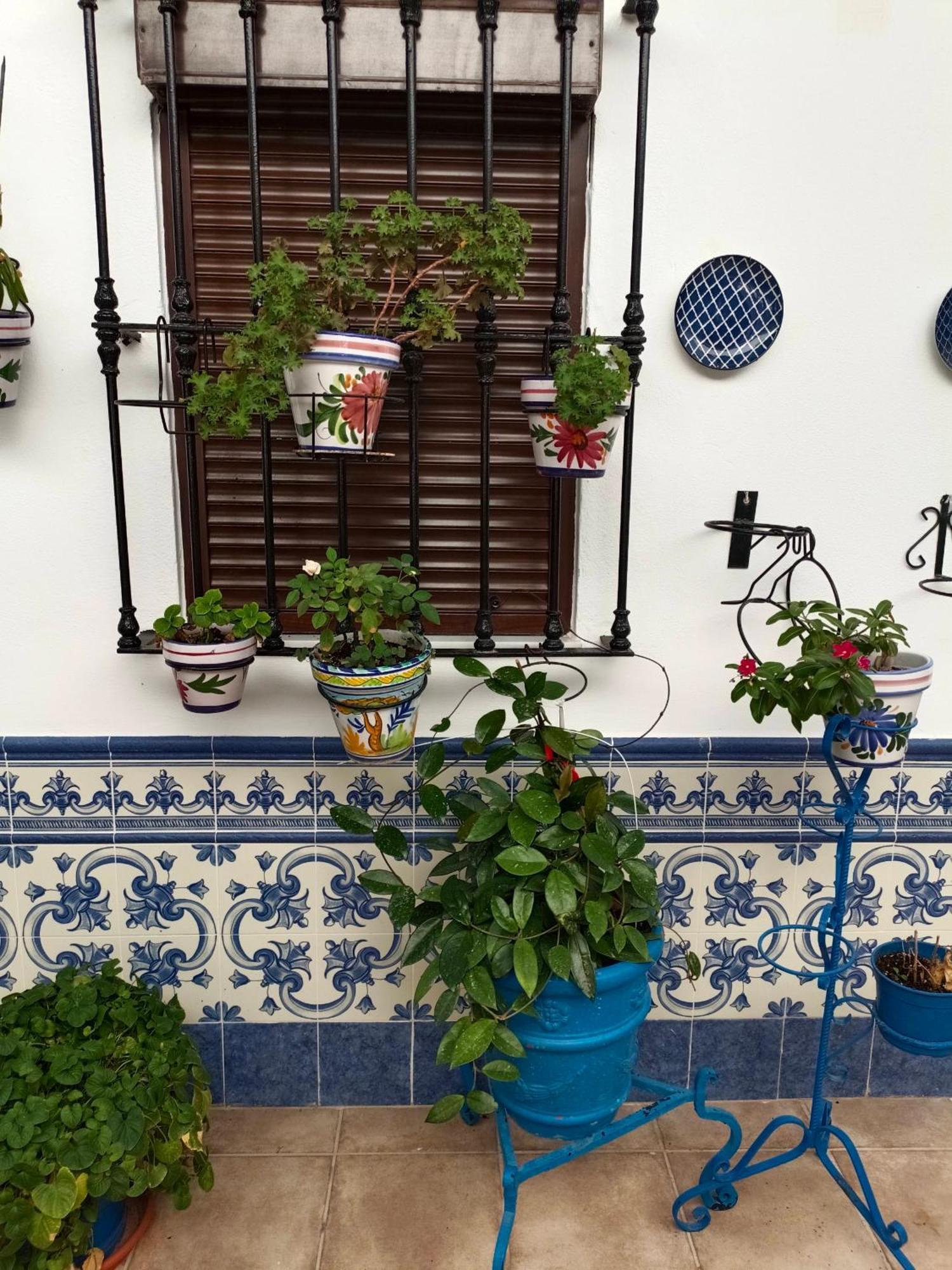 Casa Rural Patio Rociero 엘로시오 외부 사진